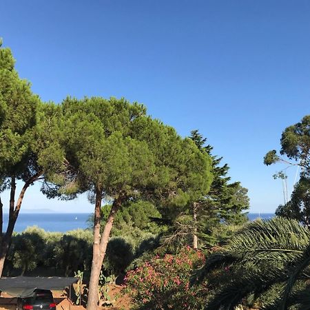 Isola D'Elba Casa Vacanze - Villa Portello - La Casina Bis - Quarzo-Pirite リオ・マリーナ エクステリア 写真